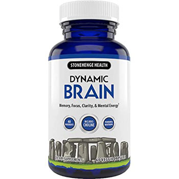 Dynamic Brain