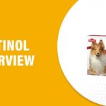 Antinol Reviews – Does This Product Really Work?