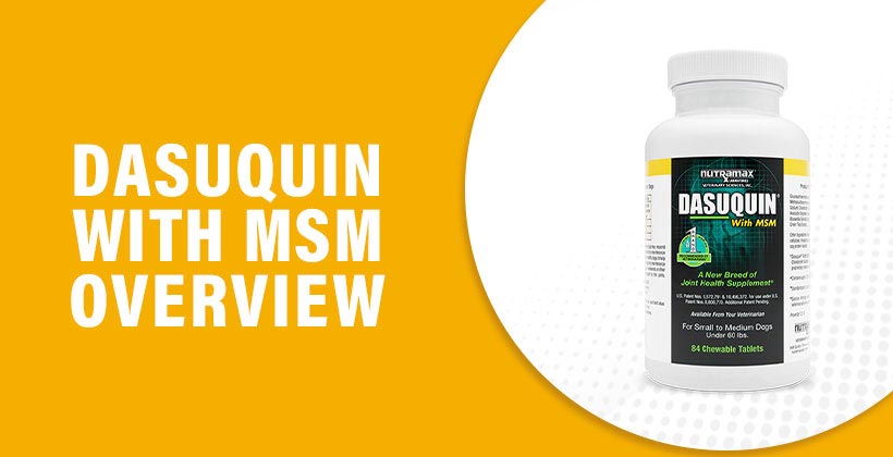 Dasuquin With MSM Reviews Does It Really Work Is It Safe To Use dasuquin-with-msm-reviews-does-it-really-work-is-it-safe-to-use
