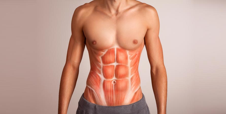 Muscular chest