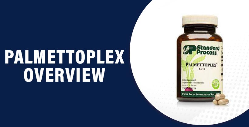 palmettoplex
