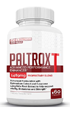 PaltroXT