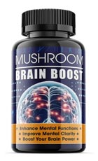 Mushroom Brain Boost