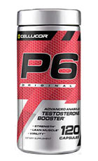 P6 Extreme