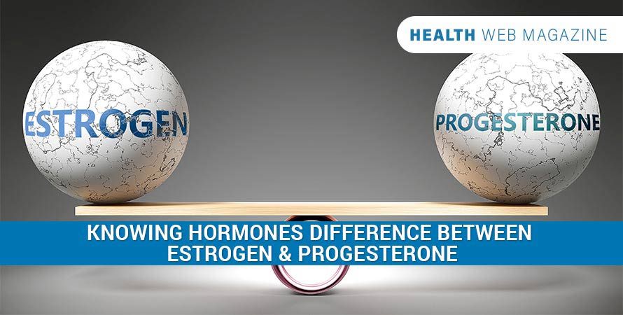 Estrogen Vs Progesterone