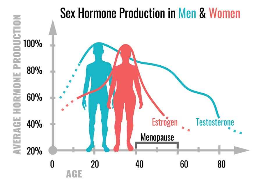 Sex hormones