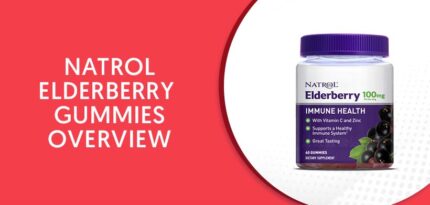 Natrol Elderberry Gummies
