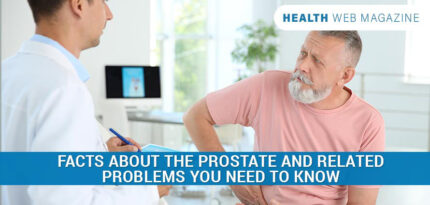 Normal Prostate Size