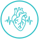 Supports cardiovascular Health
