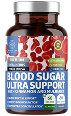 N1N Premium Blood Sugar Support