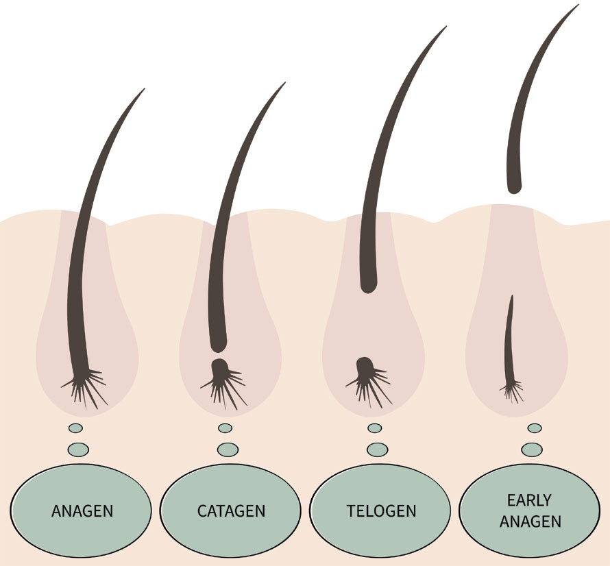 care for your eyelashes
