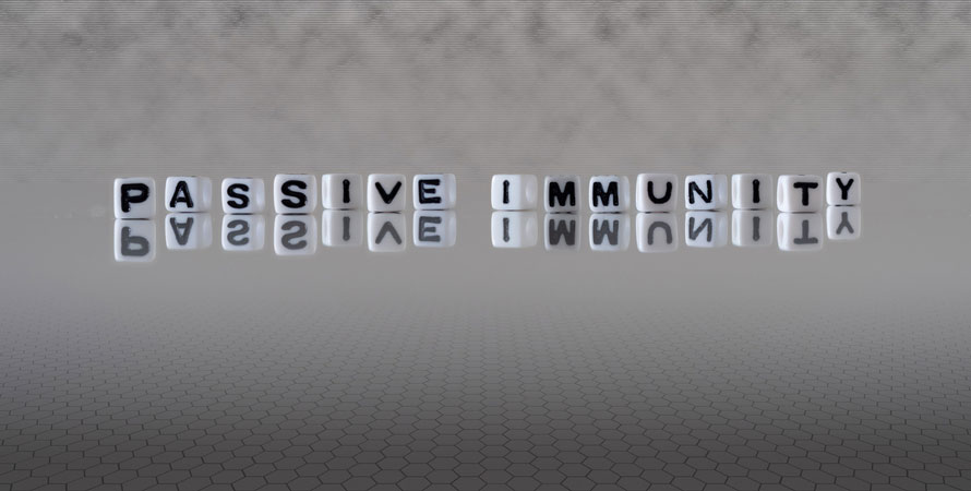 Passive immunity