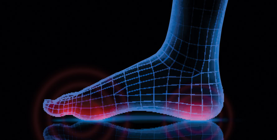 Talonavicular Joint