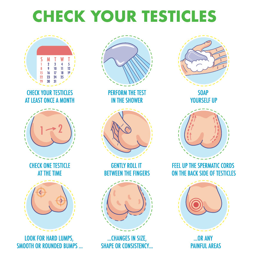 Examine your testicles