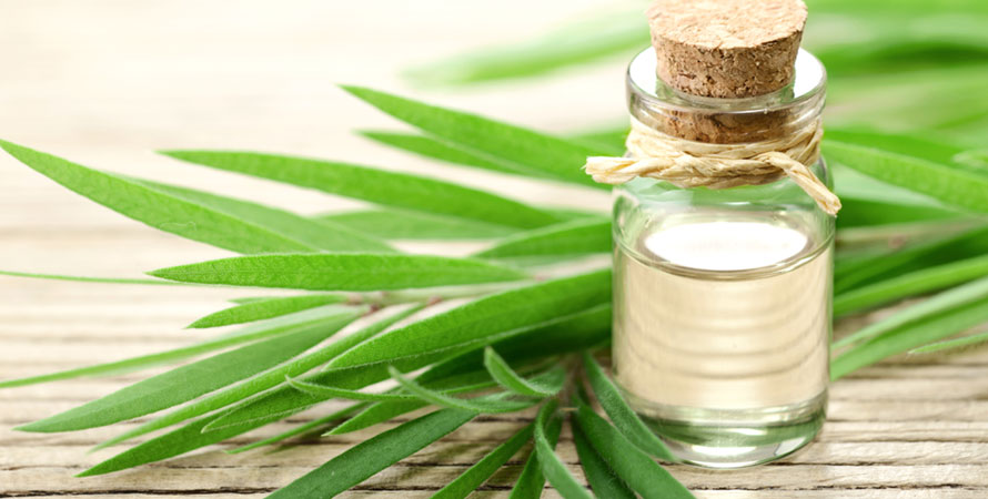 Tea Tree Oil for Hair