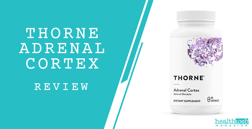 Thorne Adrenal Cortex
