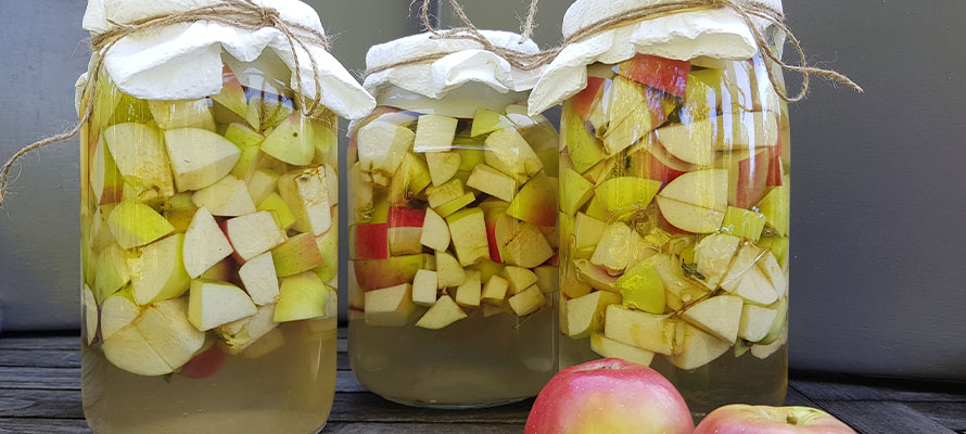 DIY ACV Gummies – Homemade Apple Cider Vinegar Gummies