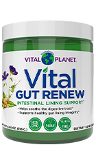 Vital Gut Renew Review – Bottle Image of Digestive & Leaky Gut Support Supplement