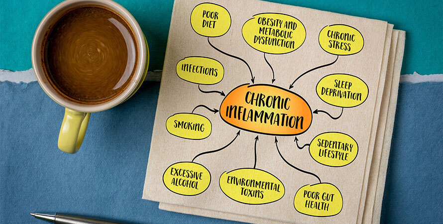 Causes Chronic Inflammation Body Prolonged Immune