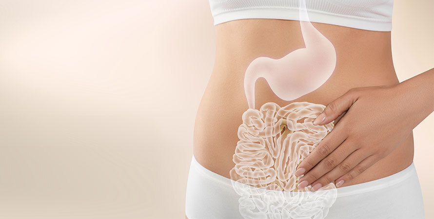 Happy Mammoth Review &ndash; Gut Health Support and Nutrient Balance