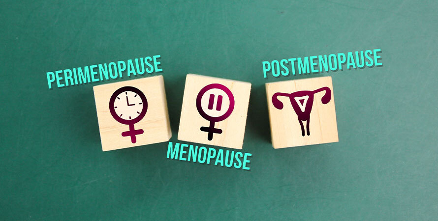 Best Lube for Perimenopause