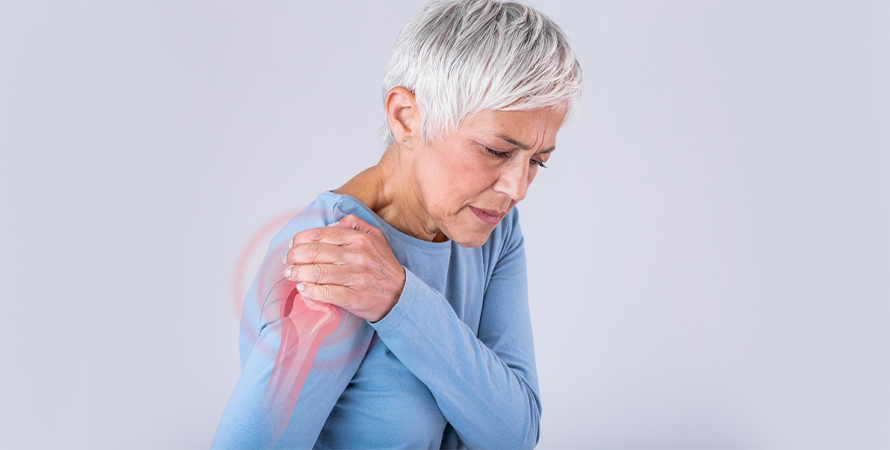 Teres Major Muscle: Anatomy, Function, Pain & Exercises Explained