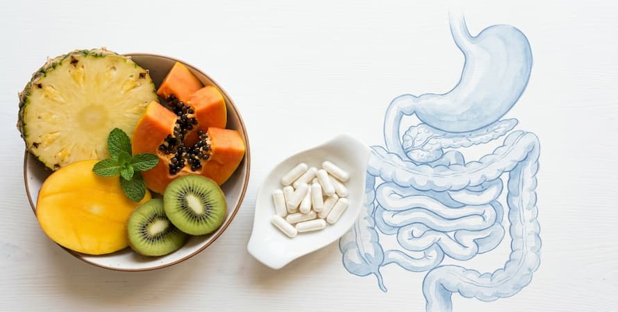 Probiotics vs Digestive Enzymes &ndash; What Are Digestive Enzymes?