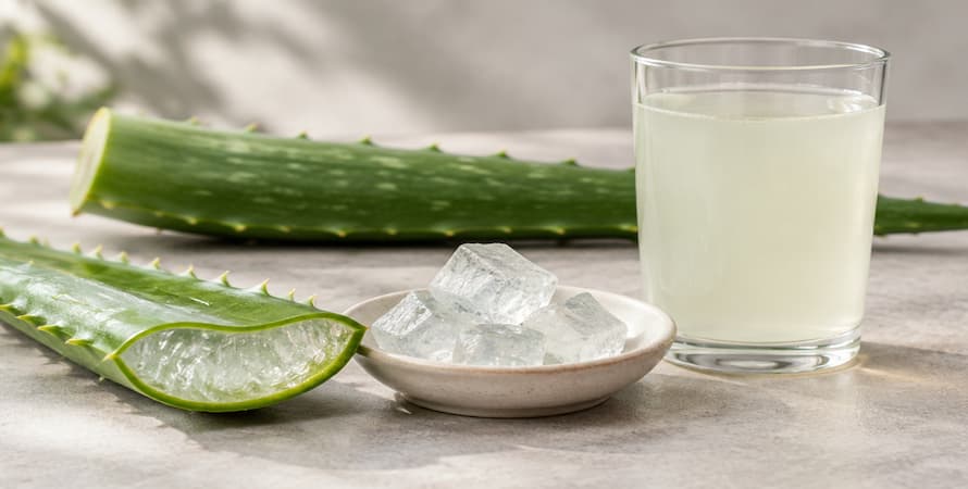 Aloe Vera: The Soothing Plant