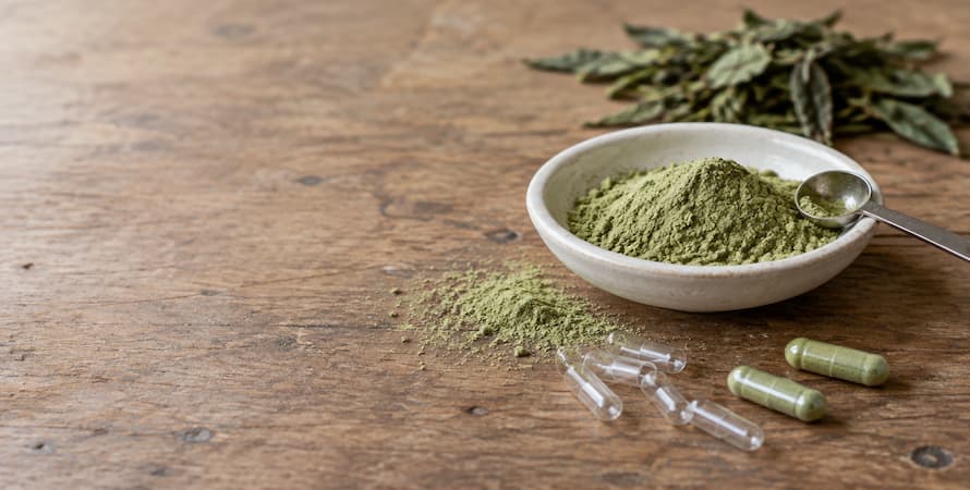 Green tea leaf extract as an ingredient