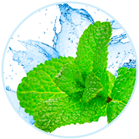 Menthol