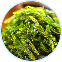Seaweed Extract