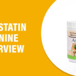Actistatin Canine Reviews – Does This Product Really Work?