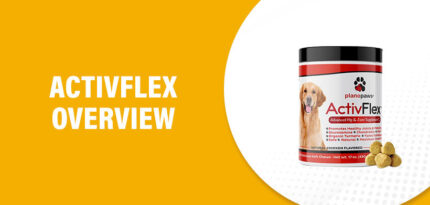 ActivFlex Reviews – Does This Product Really Work?