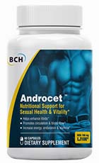Androcet