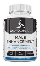 AndroCharge