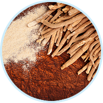 Ashwagandha Root Ashwagandha Root