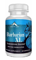 Barbarian XL