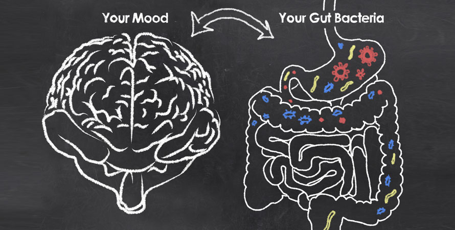 Brain and Gut Relationship