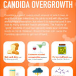 Candida – Is Yeast The Cause Of Your IBS and Weight Gain?