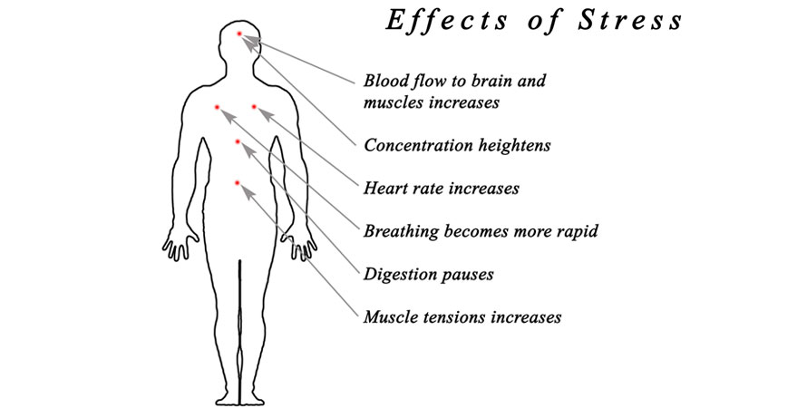 EFFECTS OF STRESS