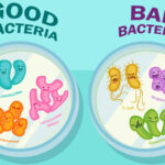 3 Reasons Why Probiotics are Mood Boosting