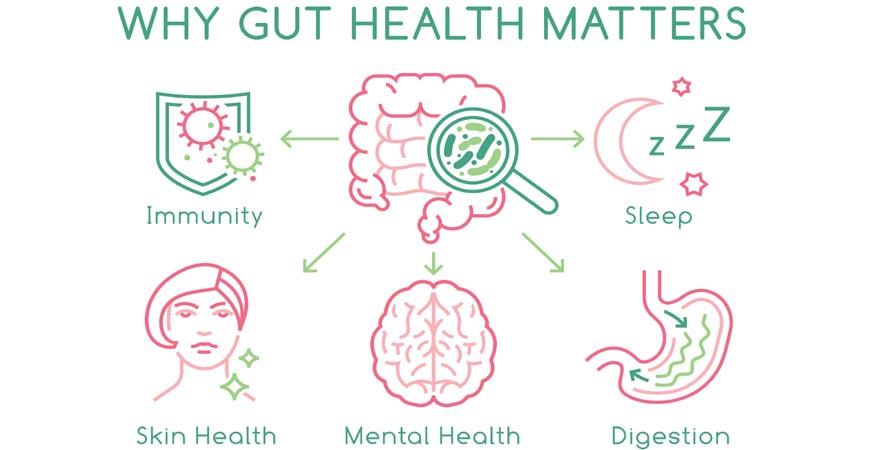 Gut Health Matters