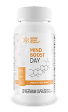 MindBoost Day