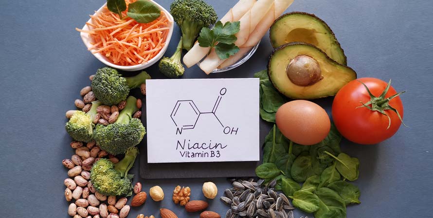 Niacin Sources