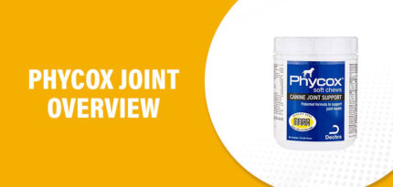 Phycox Joint Reviews – Does This Product Really Work?