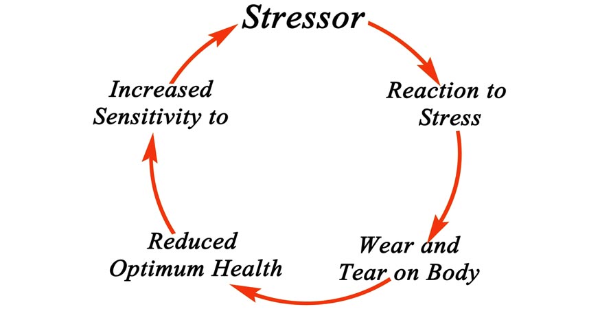 Stressors Cycle